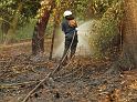 Waldbrand Bergisch Gladbach Bensberg P179